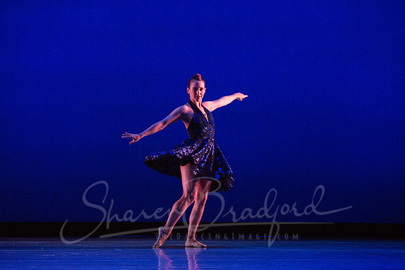 Rhapsody in Blue pc Sharen Bradford-4334
