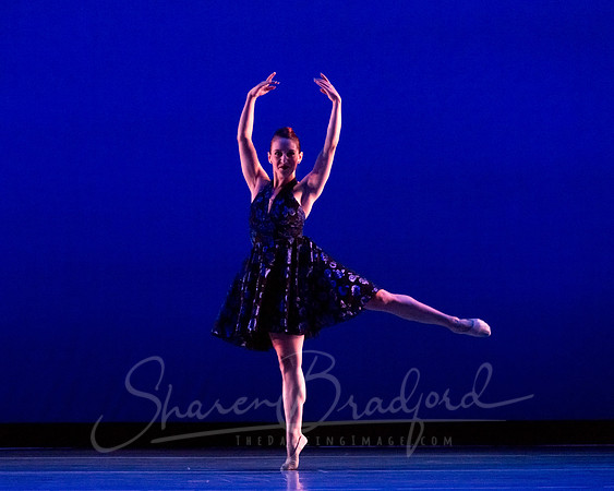 Rhapsody in Blue pc Sharen Bradford-4335