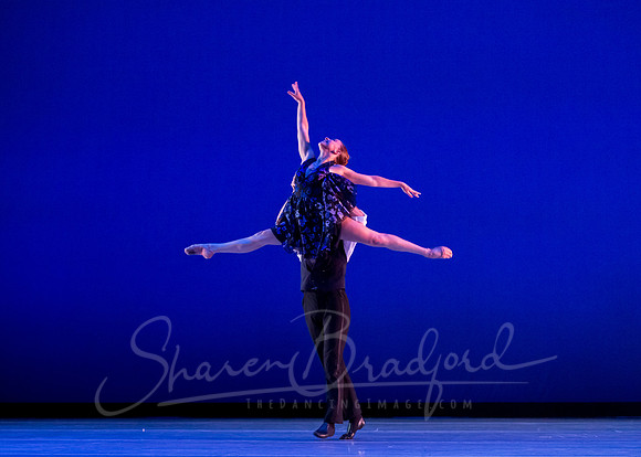 Rhapsody in Blue pc Sharen Bradford-4395