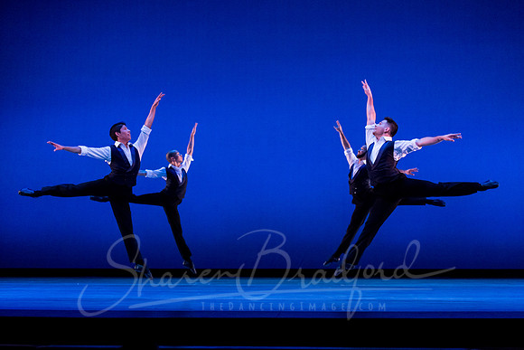 Rhapsody in Blue pc Sharen Bradford-4484