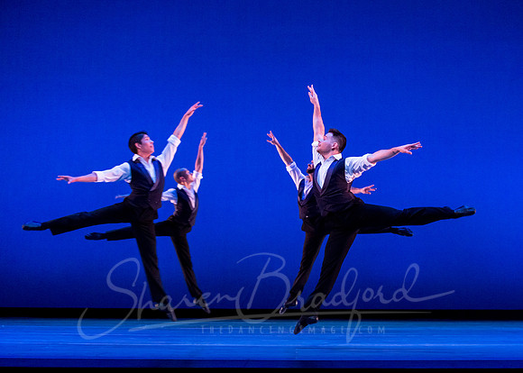 Rhapsody in Blue pc Sharen Bradford-4489