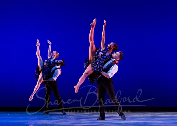 Rhapsody in Blue pc Sharen Bradford-4523