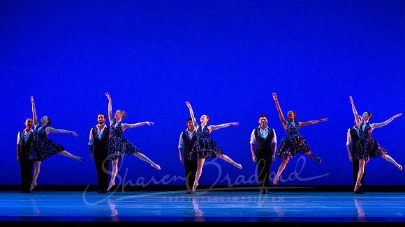 Rhapsody in Blue pc Sharen Bradford-4536