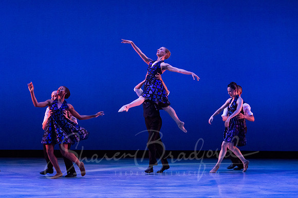 Rhapsody in Blue pc Sharen Bradford-3252