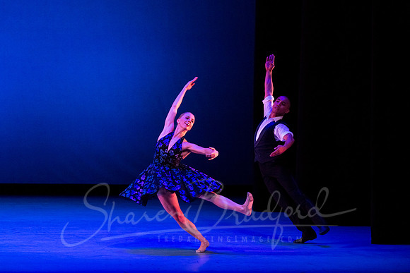 Rhapsody in Blue pc Sharen Bradford-3287