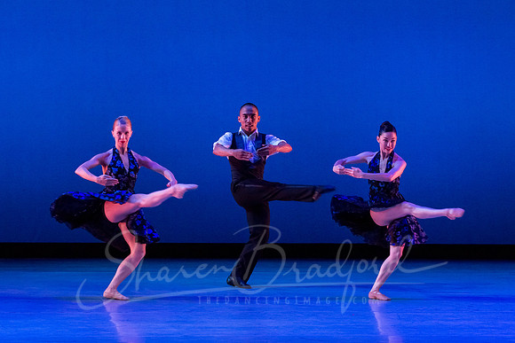 Rhapsody in Blue pc Sharen Bradford-3292