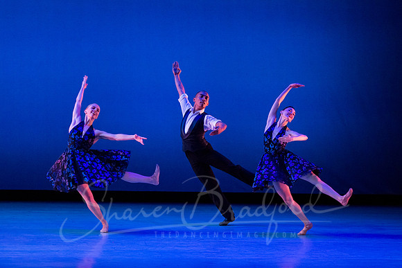 Rhapsody in Blue pc Sharen Bradford-3294