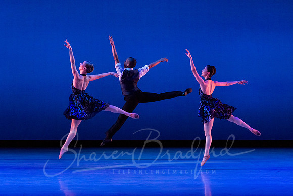 Rhapsody in Blue pc Sharen Bradford-3295