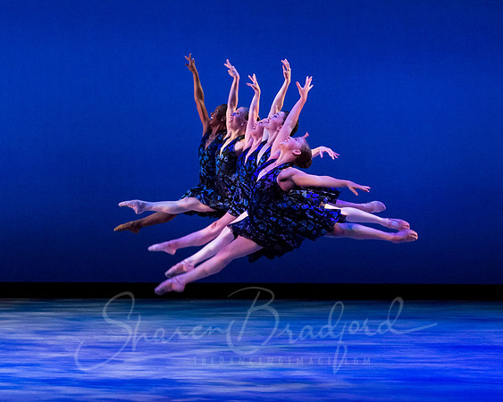 Rhapsody in Blue pc Sharen Bradford-3322