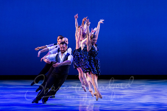 Rhapsody in Blue pc Sharen Bradford-3330