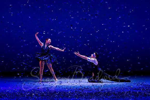 Rhapsody in Blue pc Sharen Bradford-3390