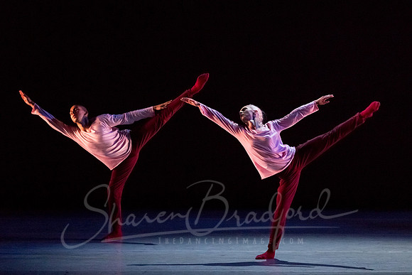 begin again pc Sharen Bradford-2601