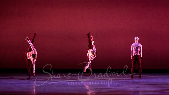 begin again pc Sharen Bradford-2654