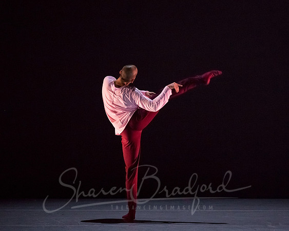 begin again pc Sharen Bradford-2861
