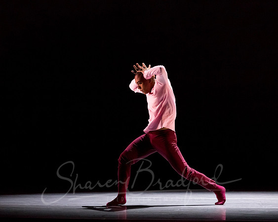 begin again pc Sharen Bradford-3805