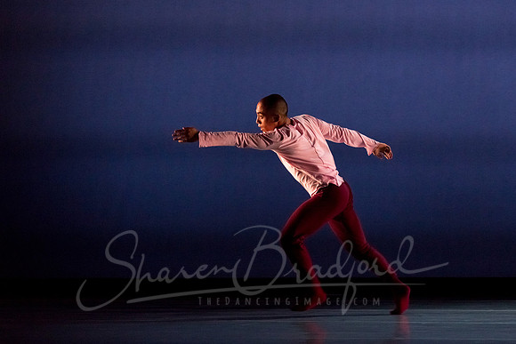 begin again pc Sharen Bradford-3819