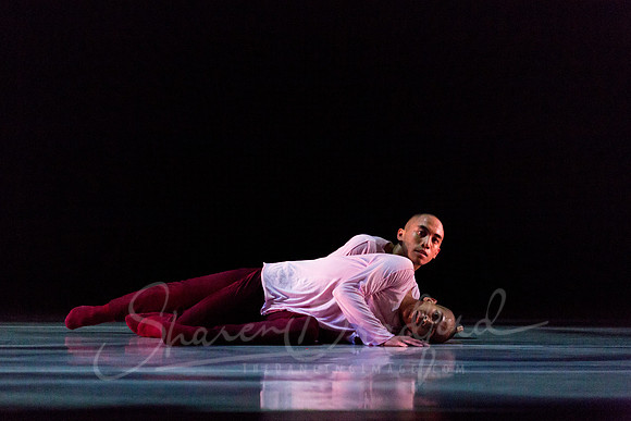 begin again pc Sharen Bradford-4229