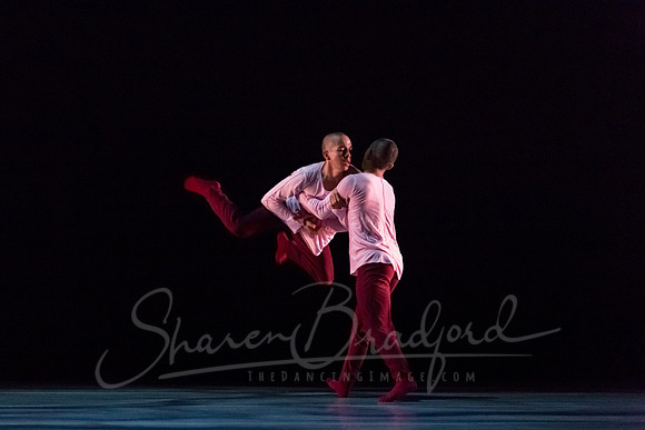 begin again pc Sharen Bradford-4244