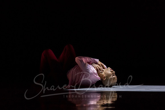 begin again pc Sharen Bradford-4318