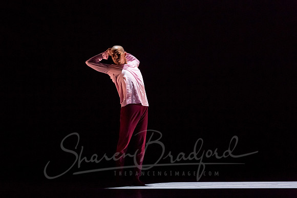 begin again pc Sharen Bradford-4320