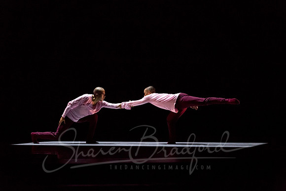 begin again pc Sharen Bradford-4324