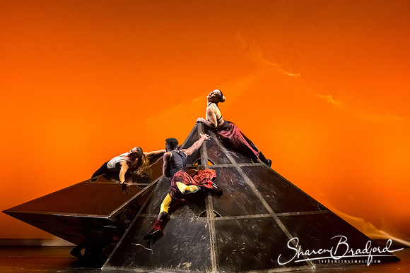 DIAVOLO - Voyage pc Sharen Bradford-0293
