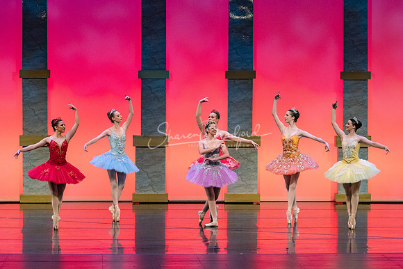 Ballet NTX Sleeping Beauty pc Sharen Bradford-0053