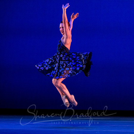 Rhapsody in Blue pc Sharen Bradford-4350