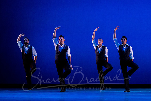 Rhapsody in Blue pc Sharen Bradford-4459
