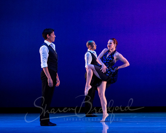 Rhapsody in Blue pc Sharen Bradford-4468
