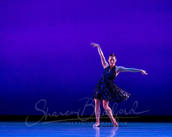 Rhapsody in Blue pc Sharen Bradford-4476