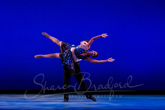 Rhapsody in Blue pc Sharen Bradford-4532