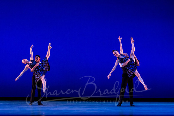 Rhapsody in Blue pc Sharen Bradford-4567