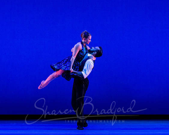 Rhapsody in Blue pc Sharen Bradford-4600