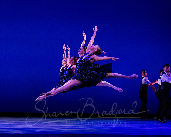 Rhapsody in Blue pc Sharen Bradford-4698