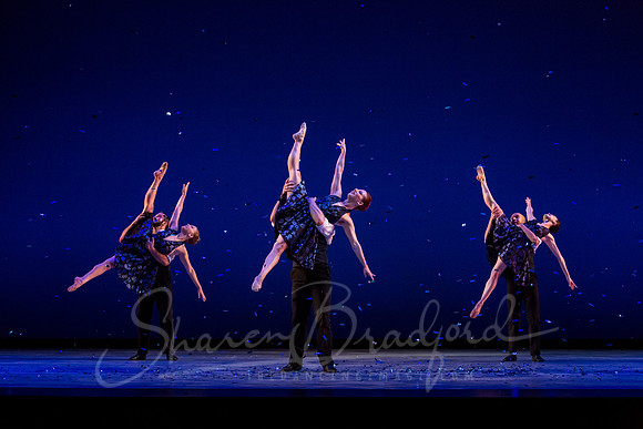 Rhapsody in Blue pc Sharen Bradford-4732