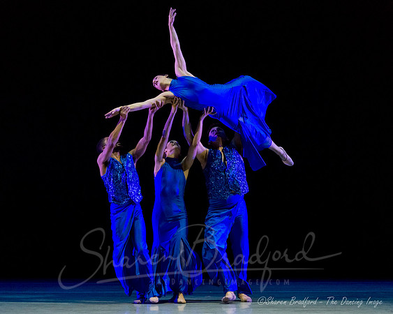 Following Echoes - pc Sharen Bradford-0931