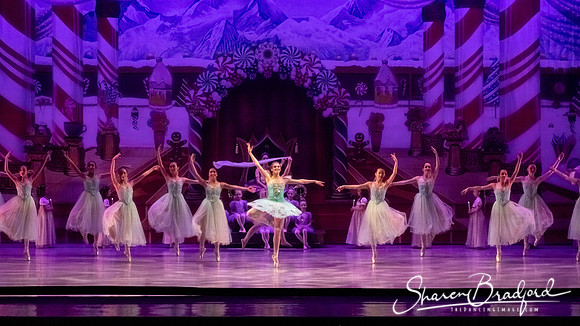 CCBT Nutcracker 19 pc Sharen Bradford-5279