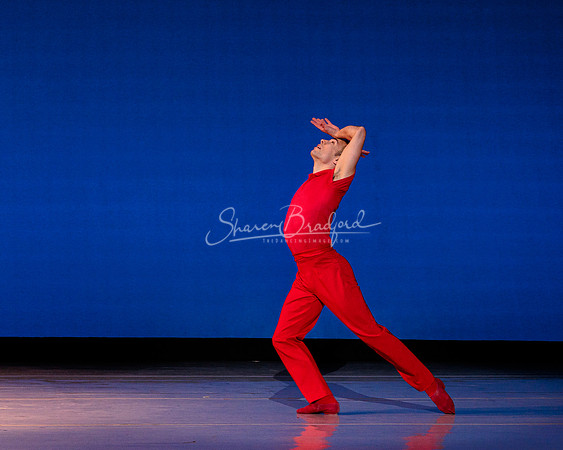 BWD Elemental Brubeck 2023 pc Sharen Bradford-1466