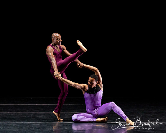 DBDT Execution of a Sentiment pc Sharen Bradford-0958
