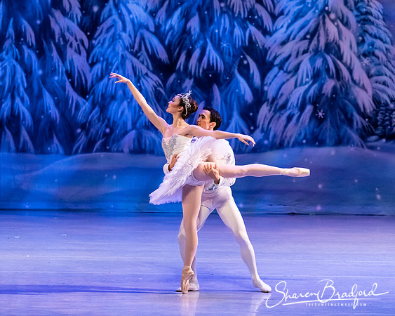 CCBT Nutcracker 19 pc Sharen Bradford-4835