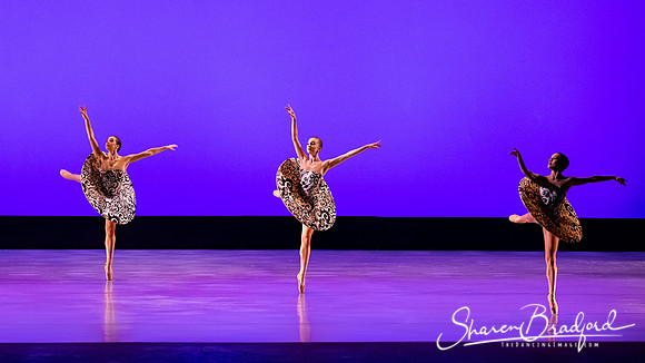 Ballet 37 pc Sharen Bradford-0295