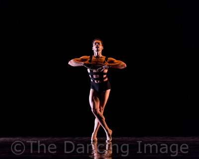 Growth_Albert Drake-2406