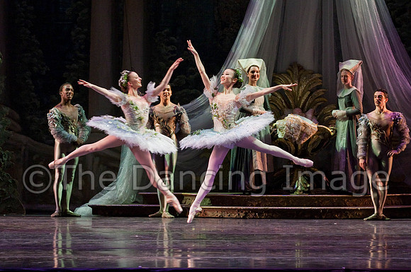 TB Sleeping Beauty Wed.-0109