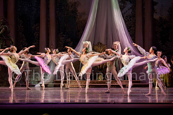 TB Sleeping Beauty Wed.-0136
