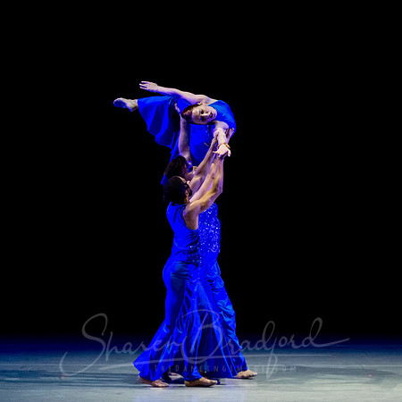Following Echoes - pc Sharen Bradford-3267