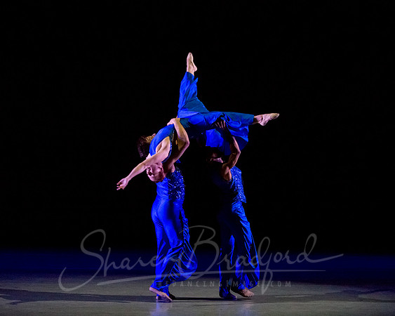 Following Echoes - pc Sharen Bradford-3333