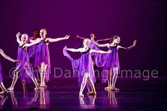 Papillon-0693