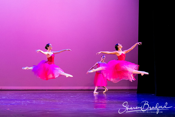 Waltz of the Flowers pc Sharen Bradford-2761