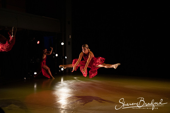 NISSI pc Sharen Bradford-3106